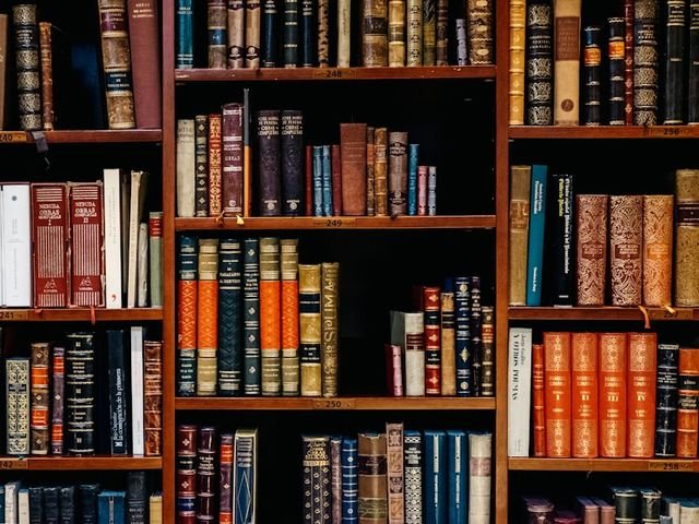 Wooden bookshelf filled with books