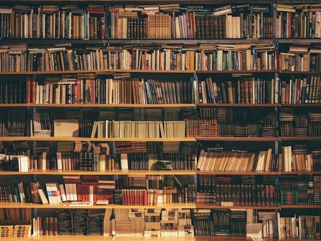Floor to ceiling library shelving